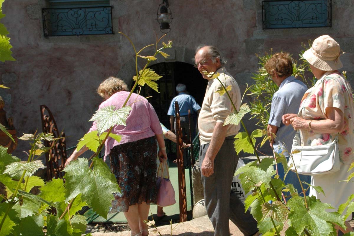 Sorties en groupe de séniors à Limoges